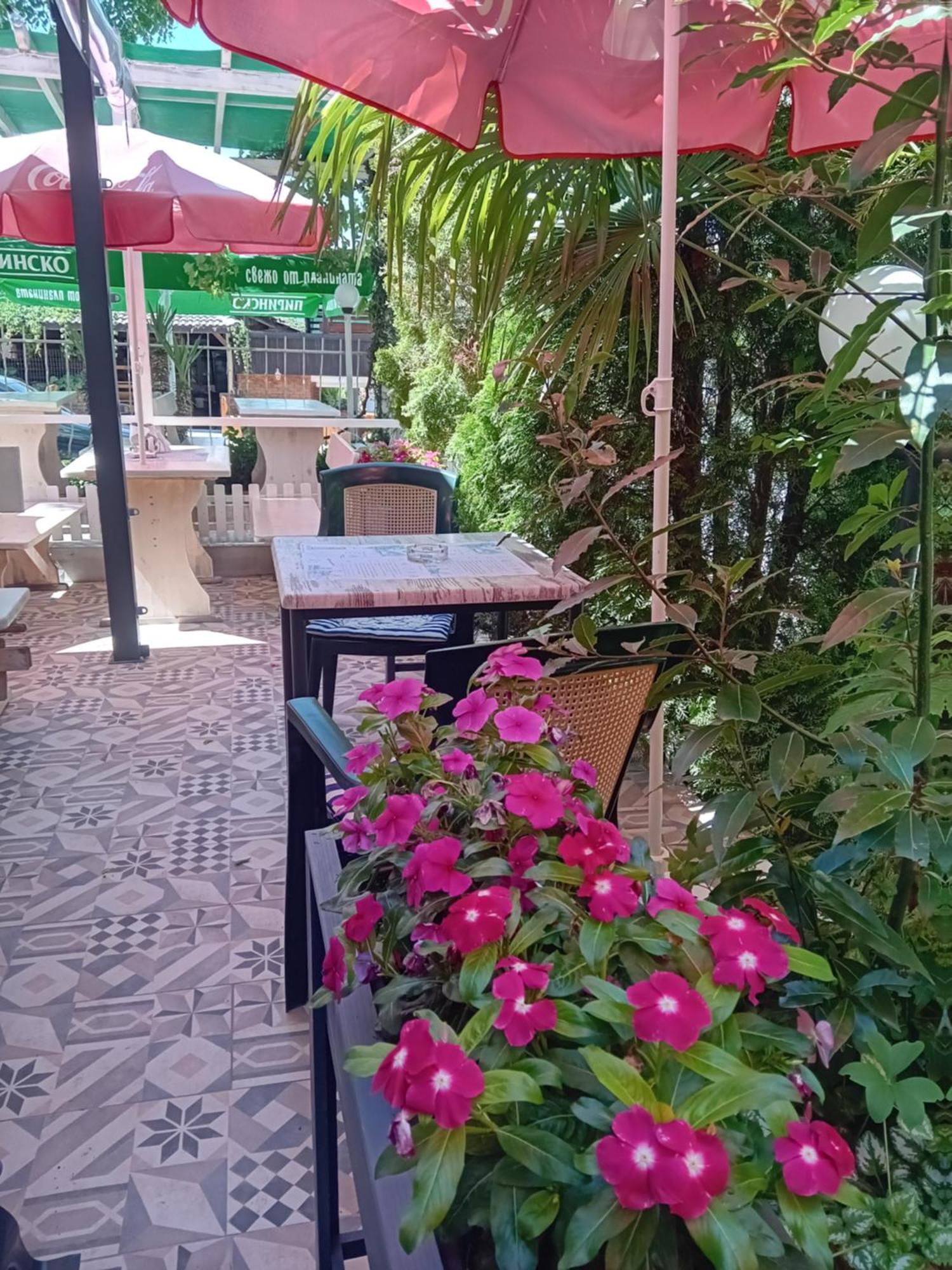 Guesthouse Oasis Kiten  Exterior foto